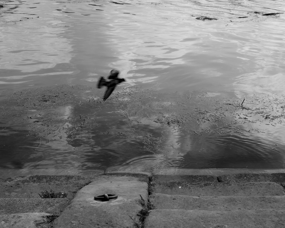 The Garonne river in Toulouse