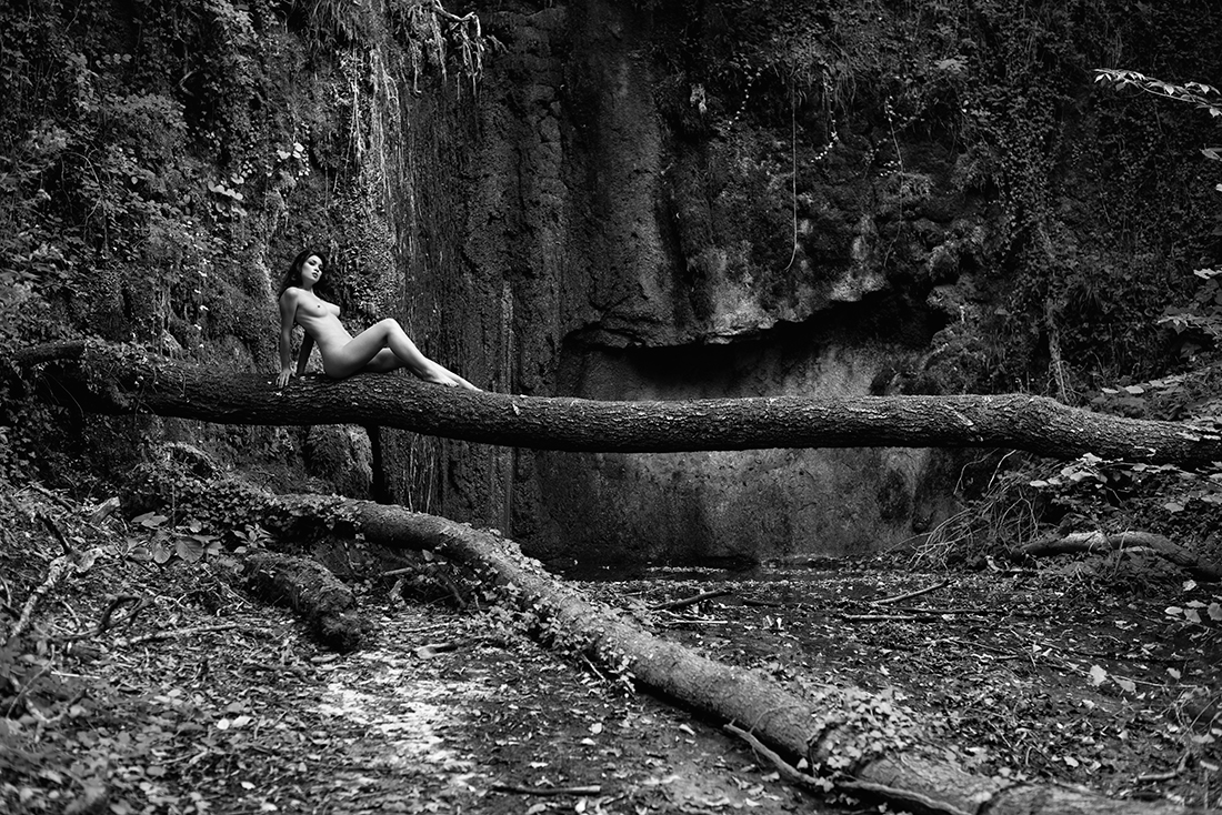 Freedom in the wood