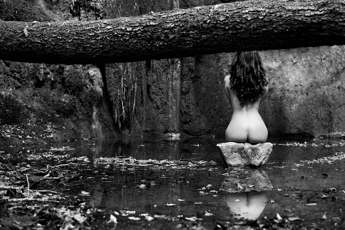 Freedom in the wood