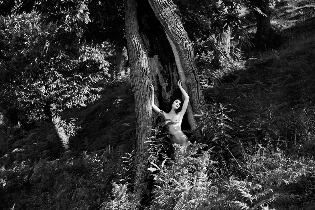 Freedom in the wood