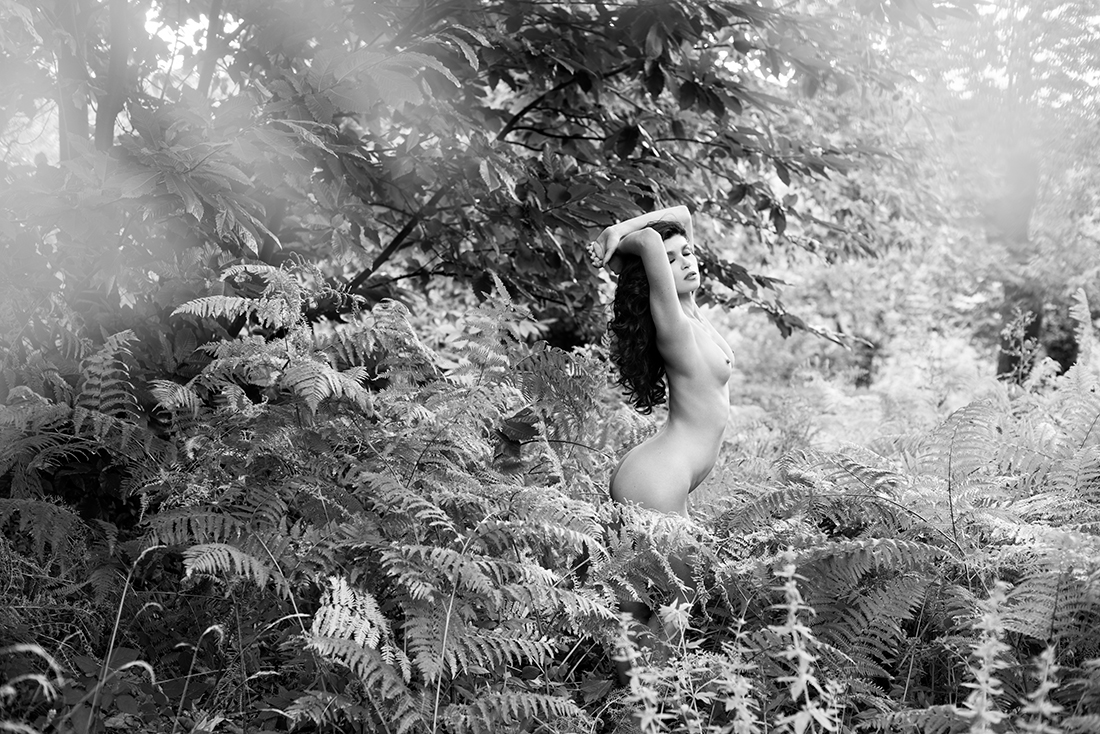 Freedom in the wood