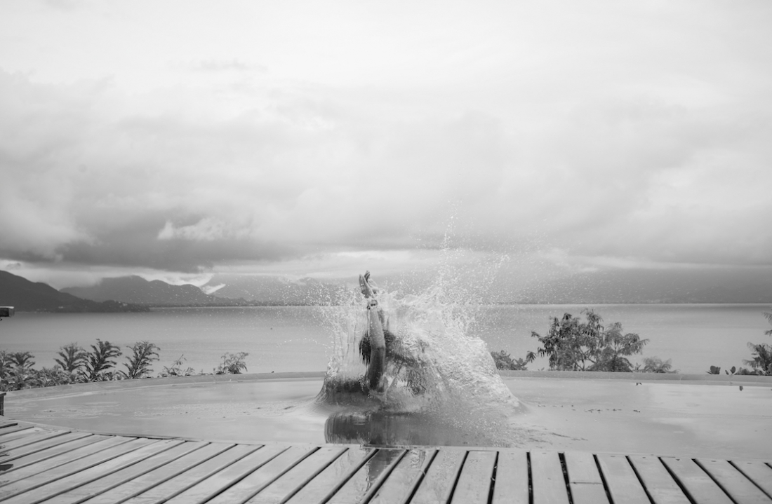 Brazil Dives 