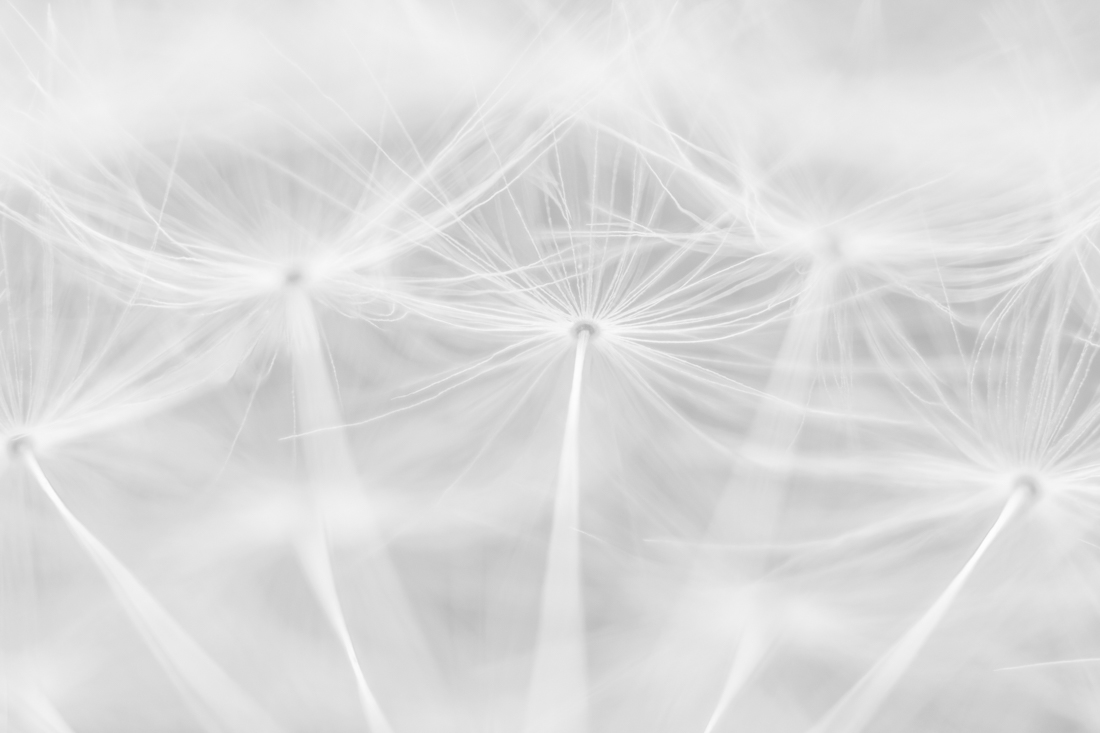 Ephemeral