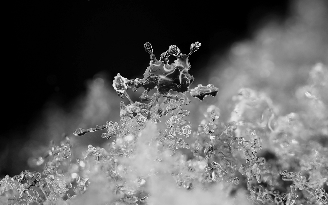 Reflections in the Flake