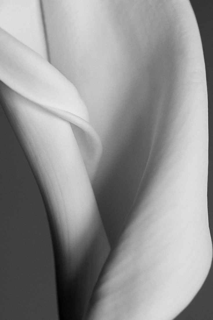 curves I