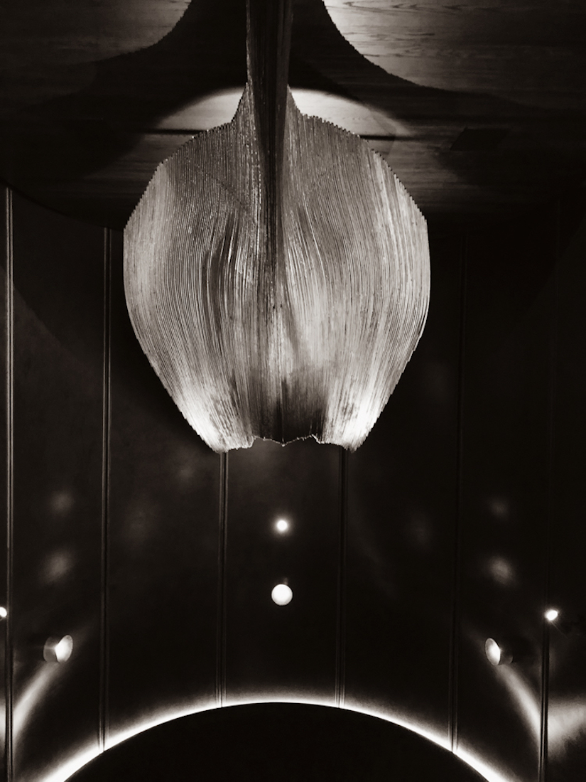 Orchid