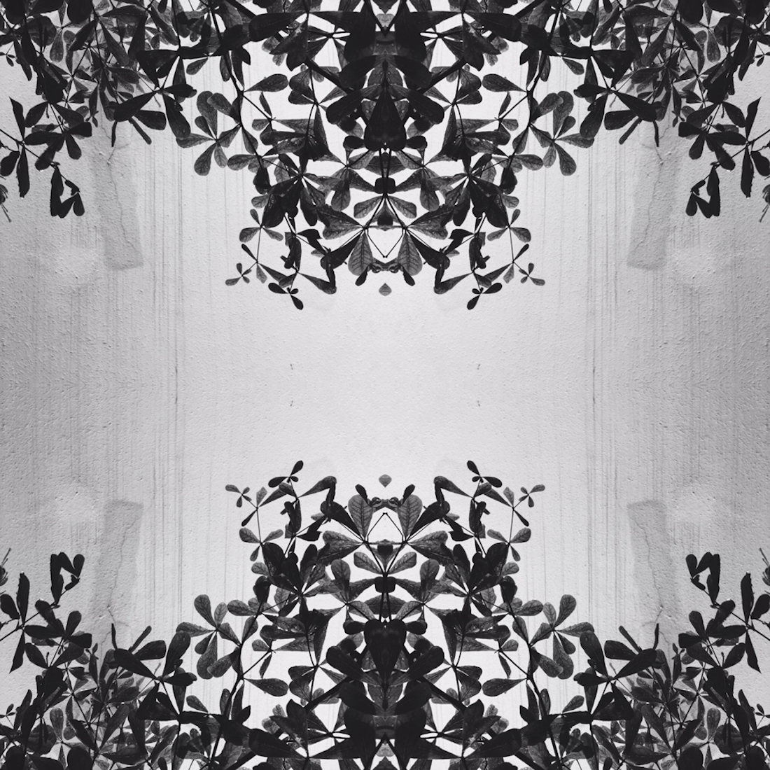 Fleur De Lis