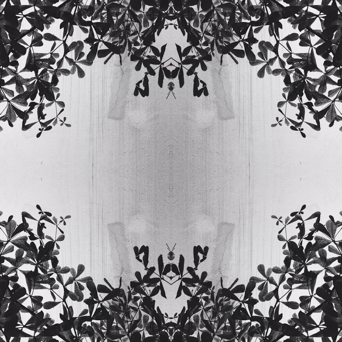 Fleur De Lis