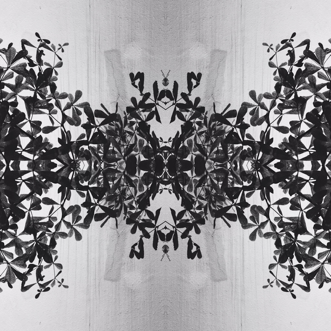 Fleur De Lis