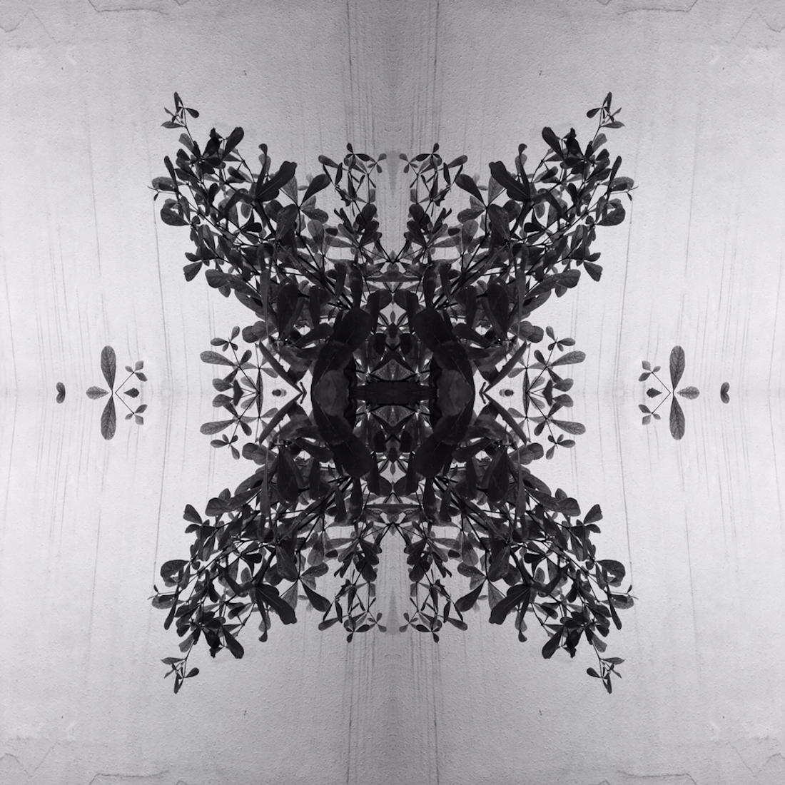 Fleur De Lis