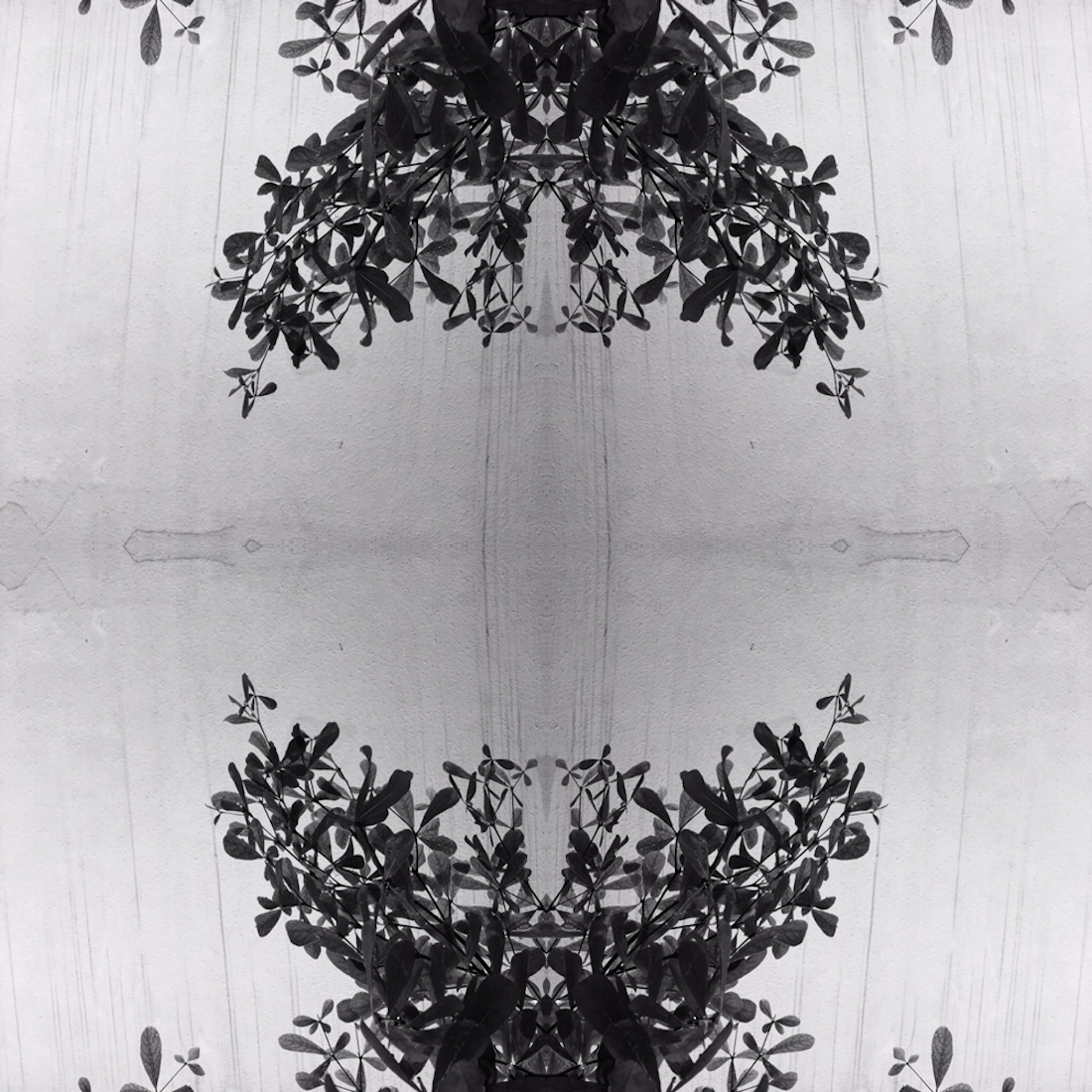 Fleur De Lis