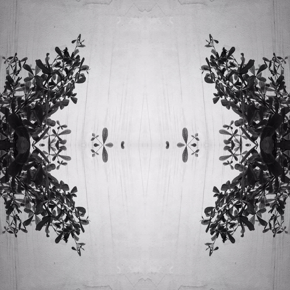 Fleur De Lis