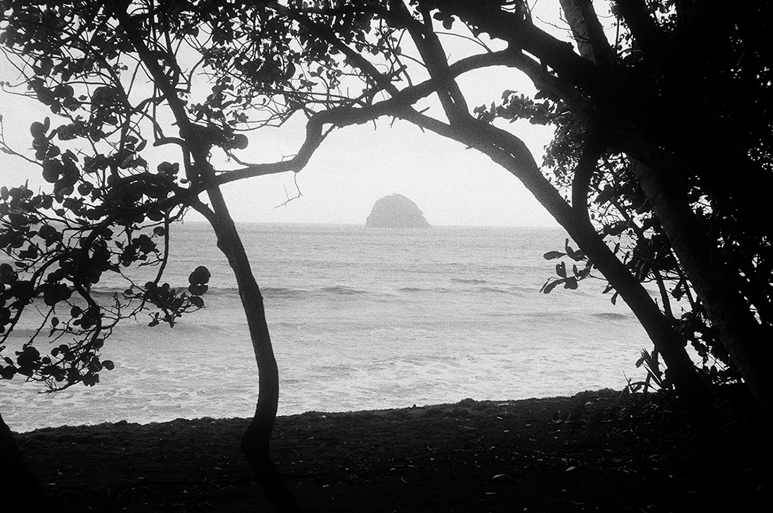 Spleen Martinique