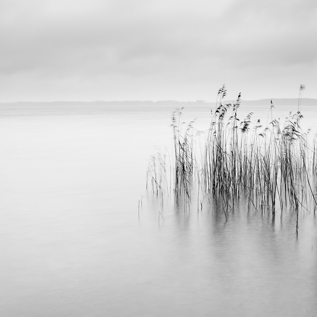 White Waters