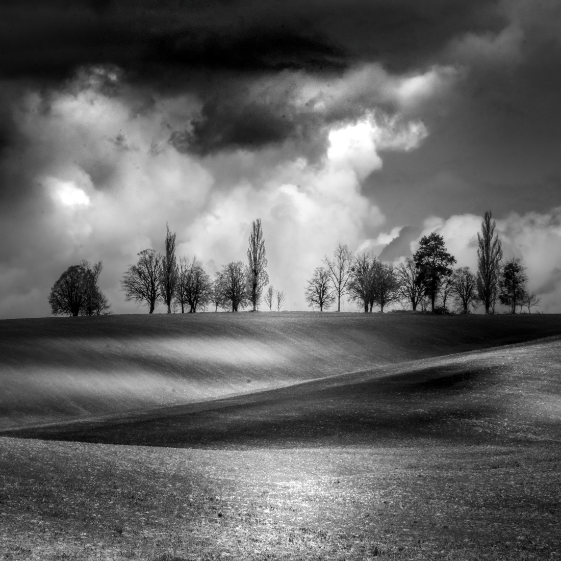 Spring field...