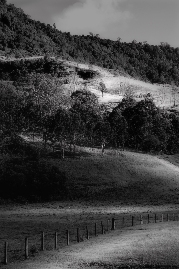 Australian Hinterland.