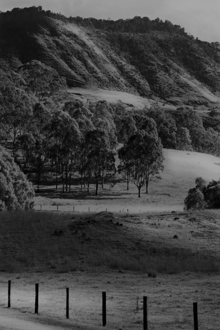 Australian Hinterland.