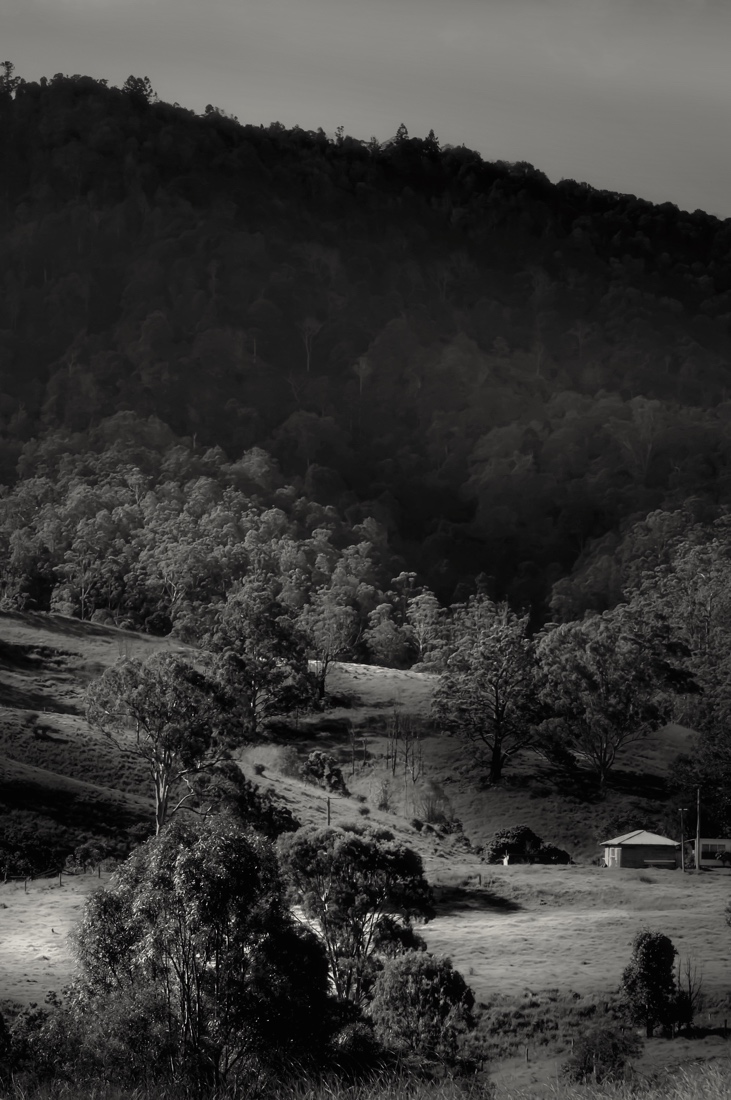 Australian Hinterland.
