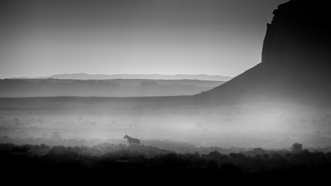 Solitude