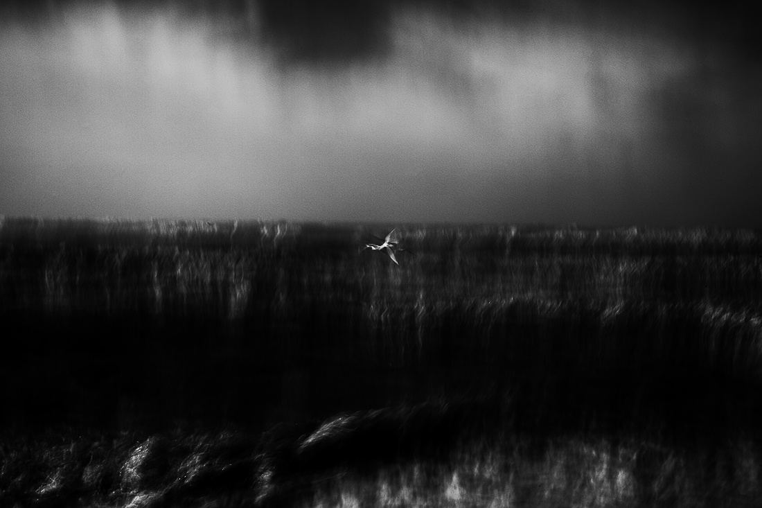 Soul - Life - Flow