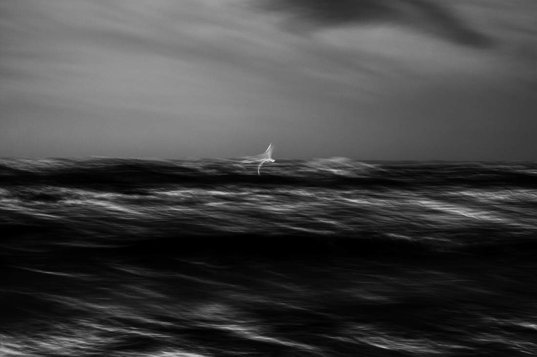 Soul - Life - Flow