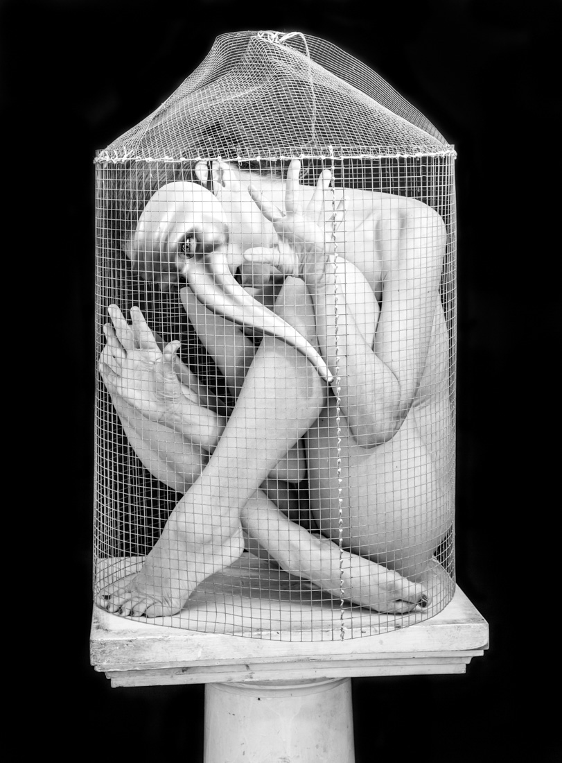 Caged Bird