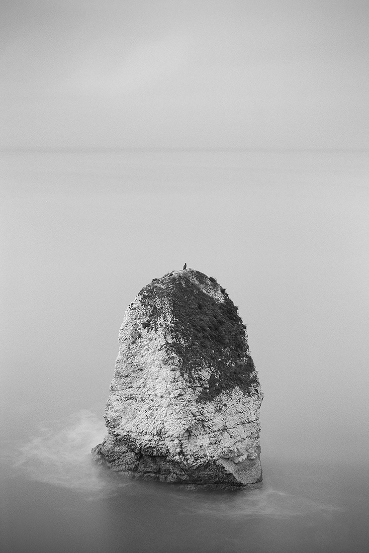 Tectonic
