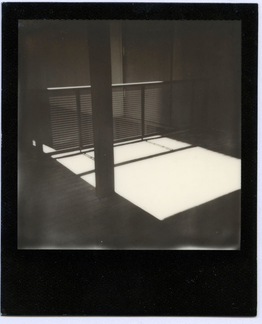 Chasing Shadows