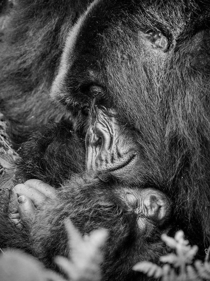 mother&child