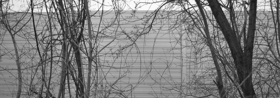 Silence Beyond The Wall