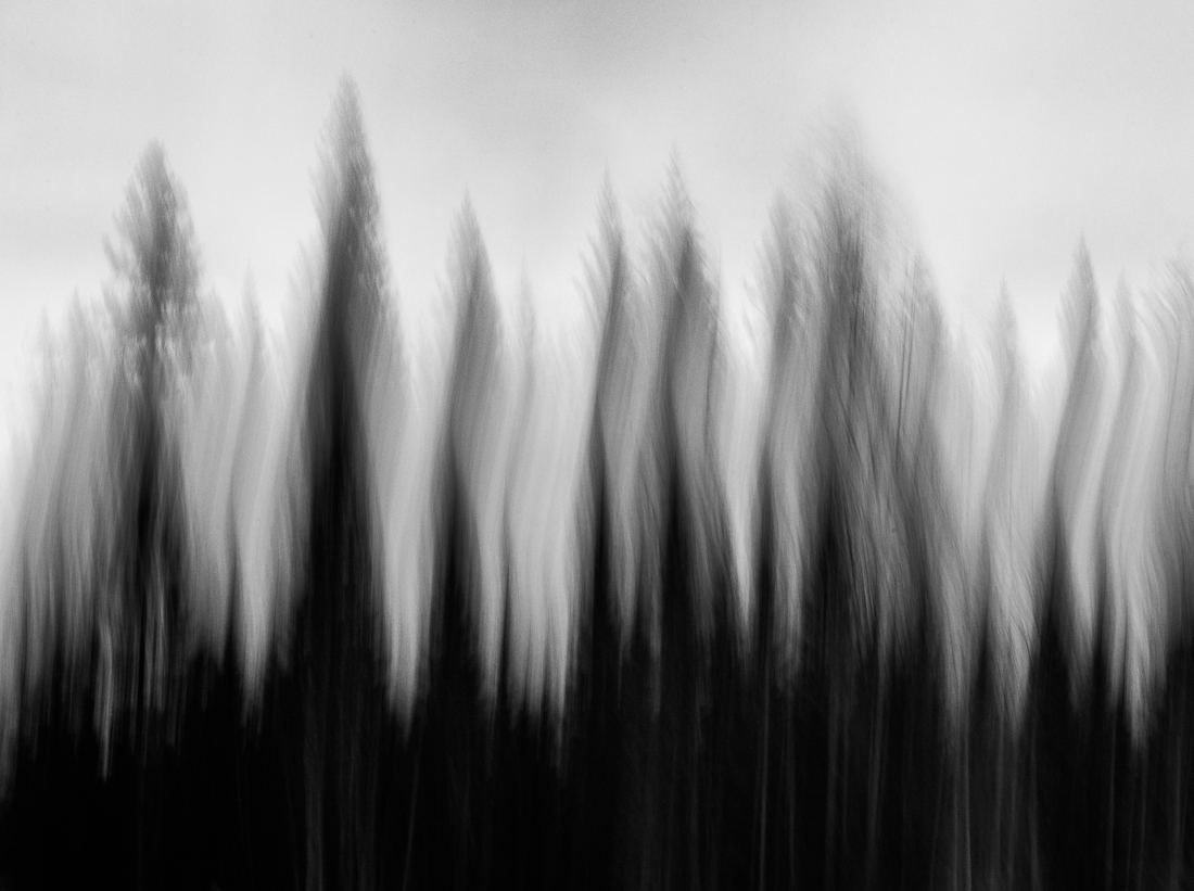 Trees