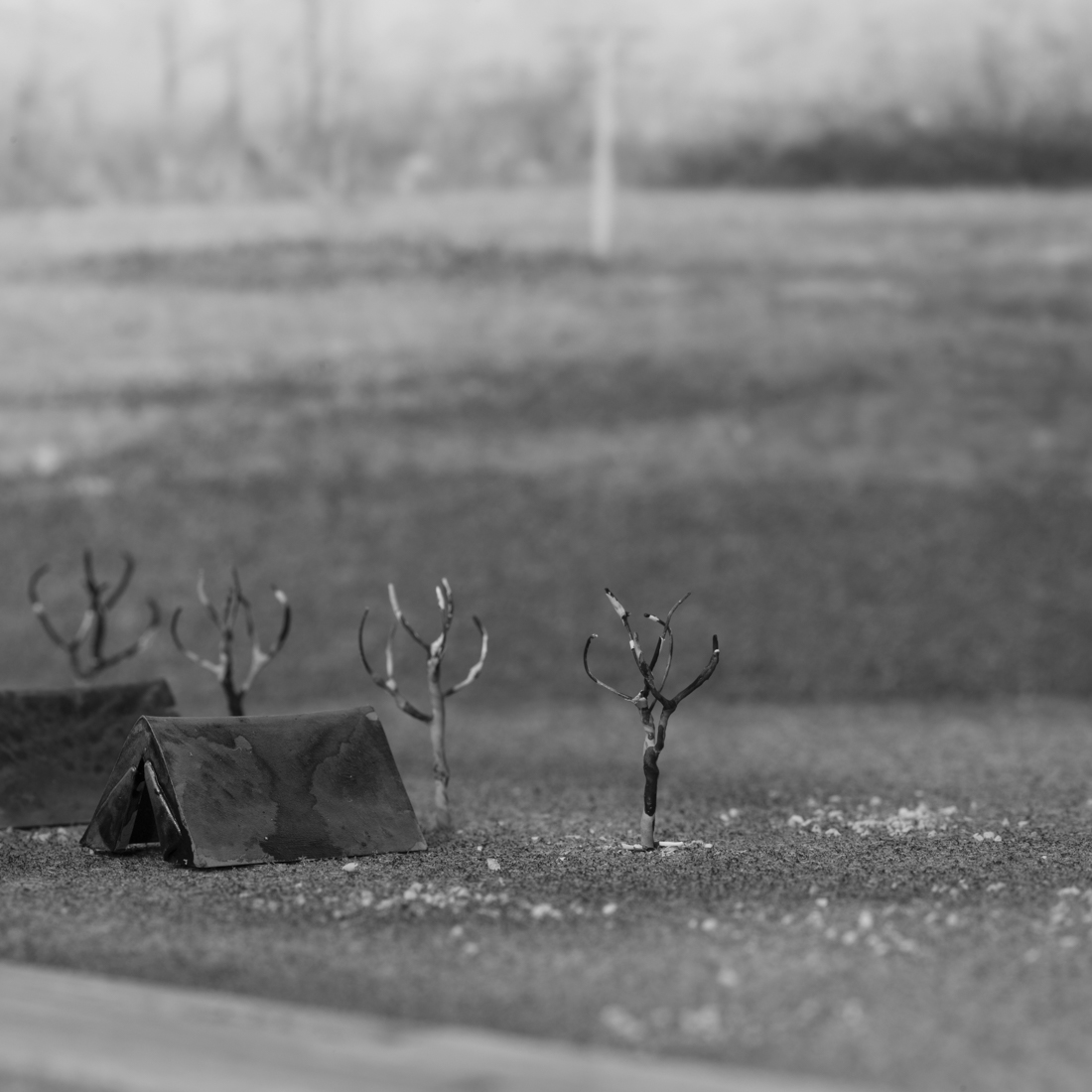 War Stories I Never Heard