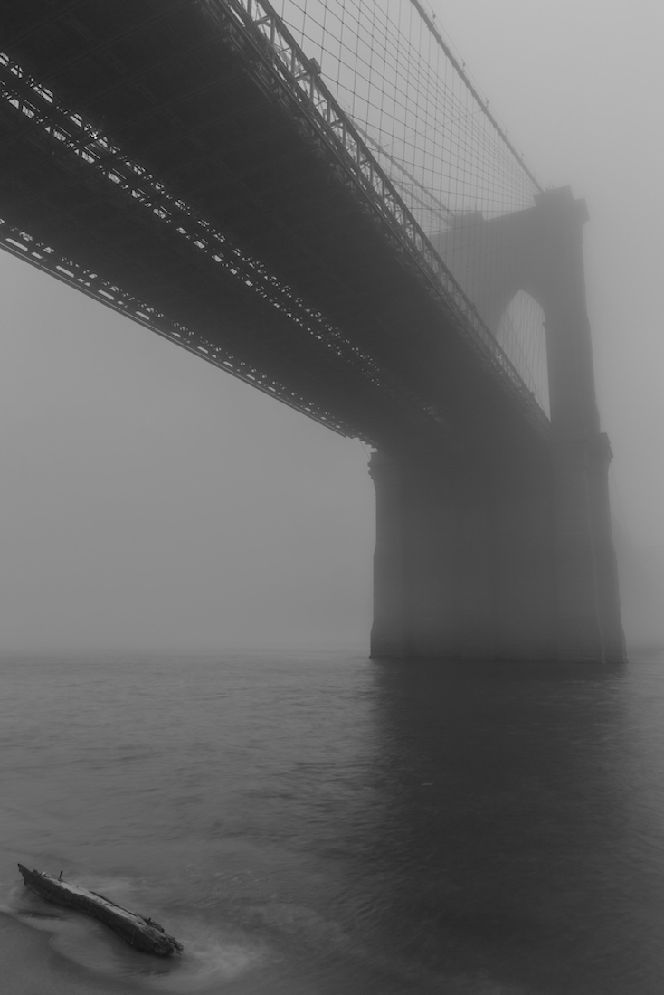 Gotham 