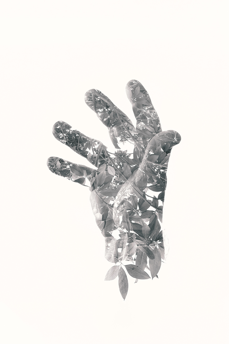 In our hands