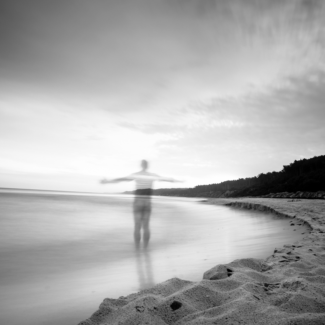 Naked came I. David Weiss.