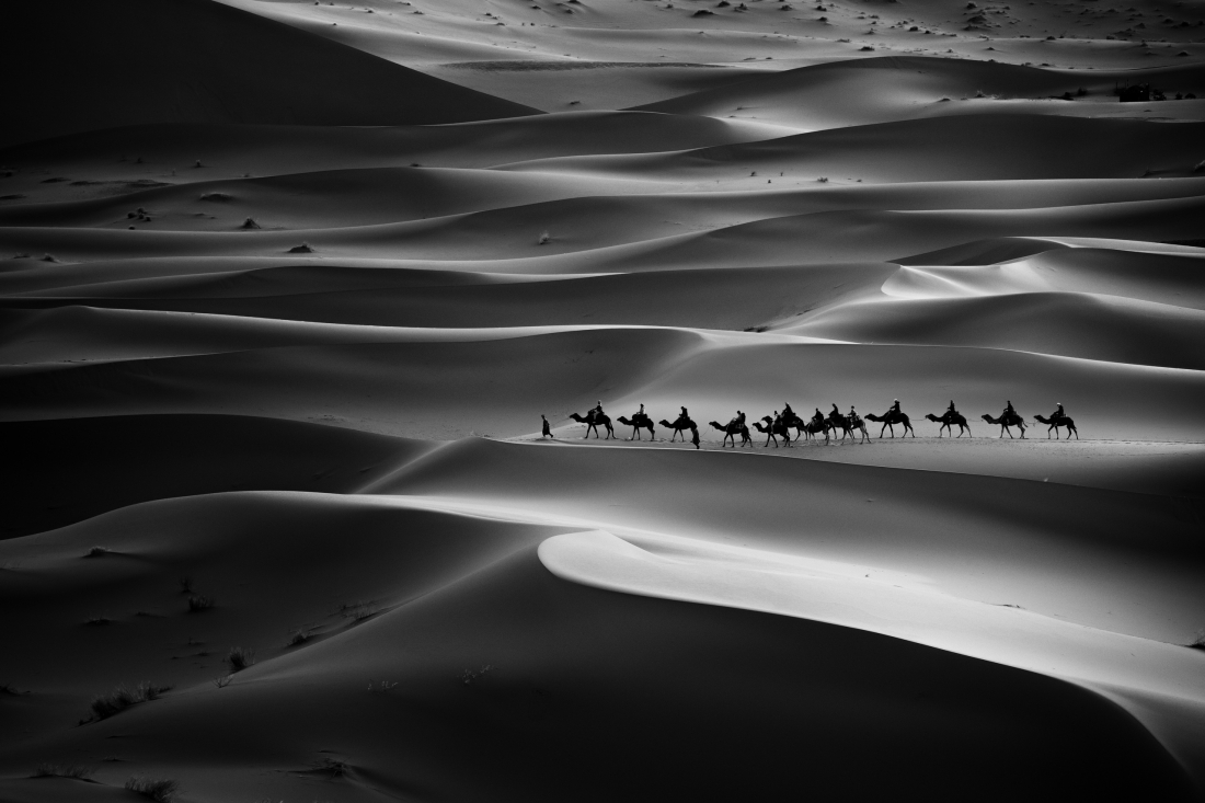 In the shadows of the Desert 