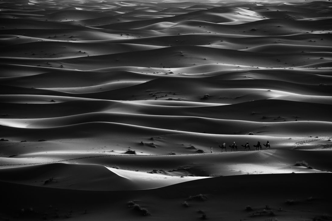 In the shadows of the Desert 