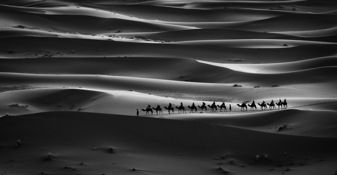 In the shadows of the Desert 