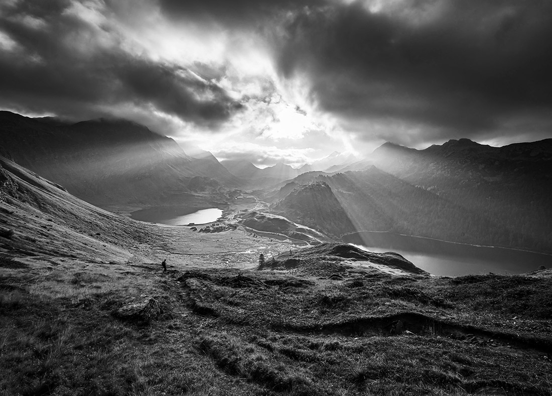 Catching the light