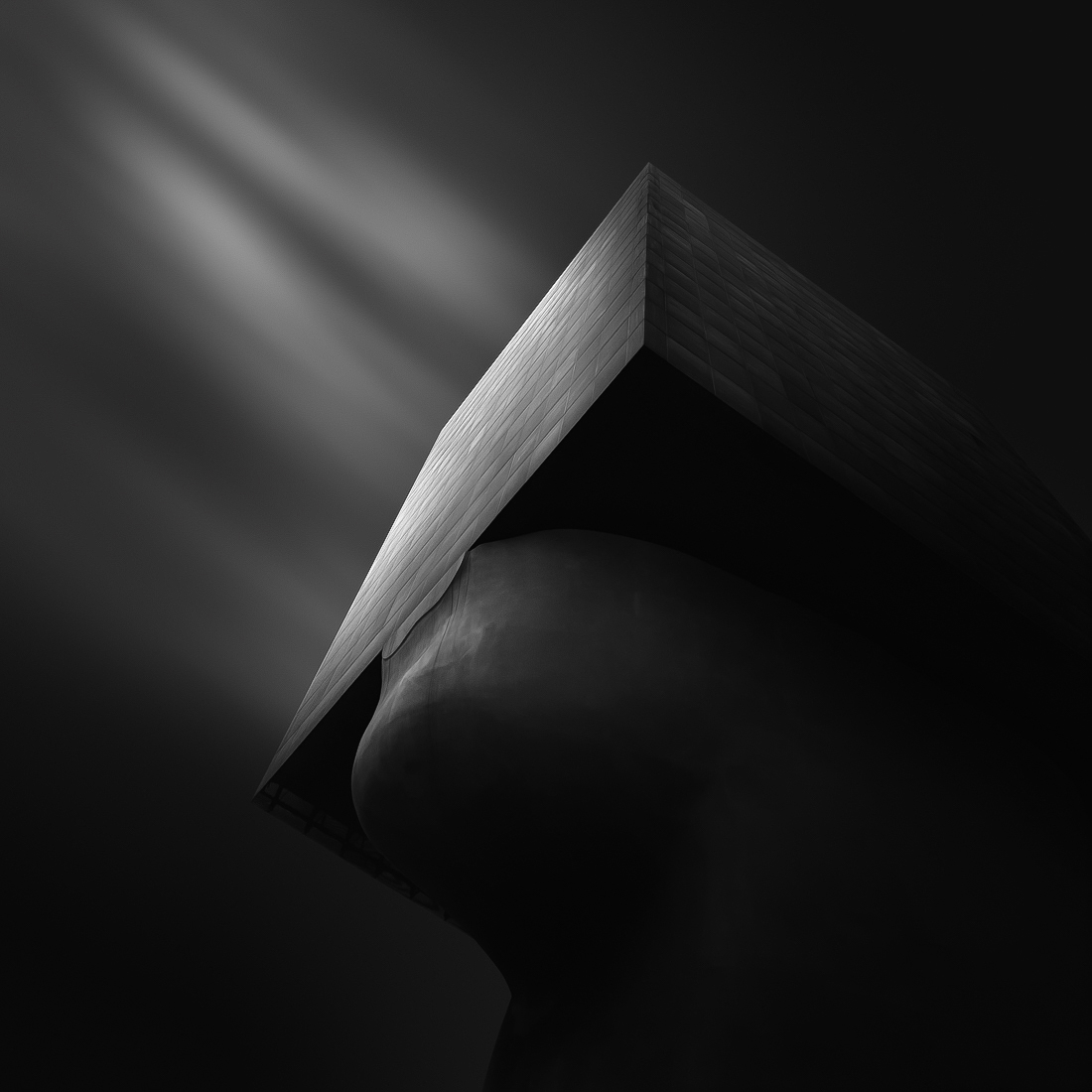 The Head of it All