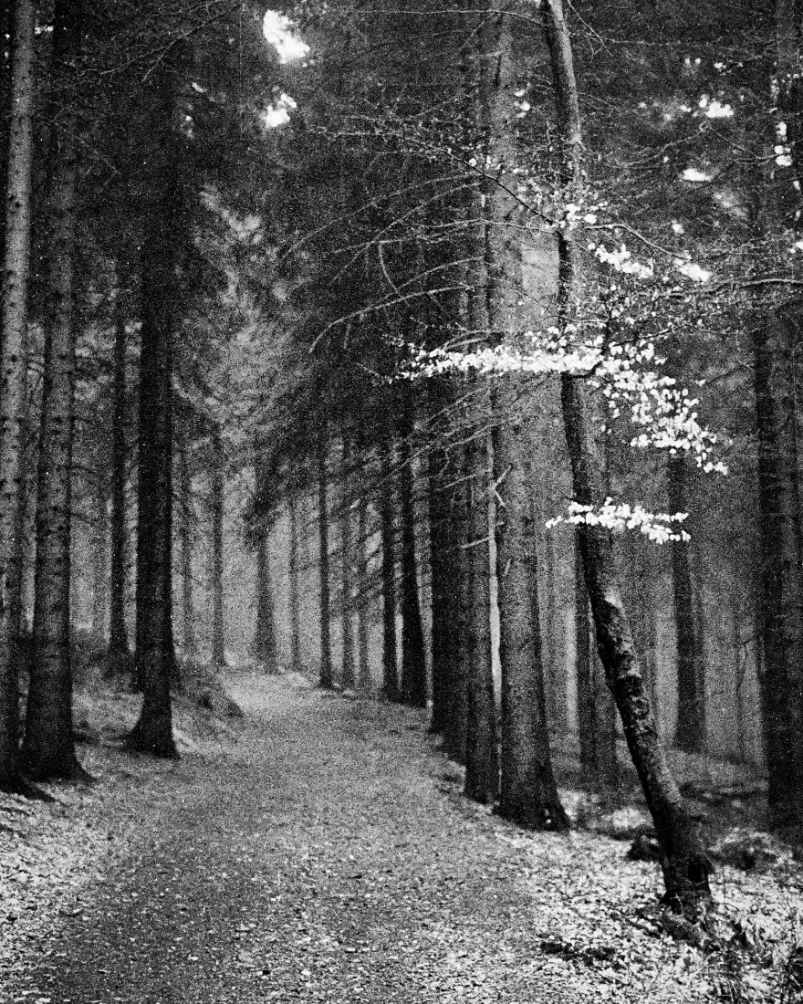 Invitation to silence