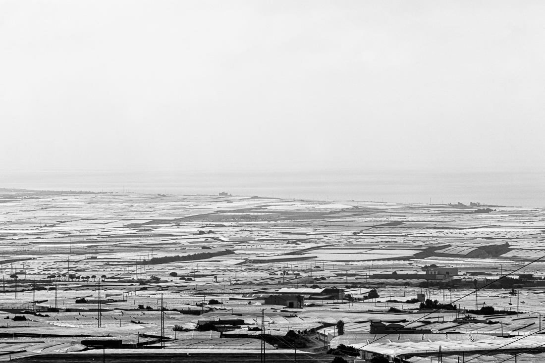 The greed for water - Agriculture in Andalusia