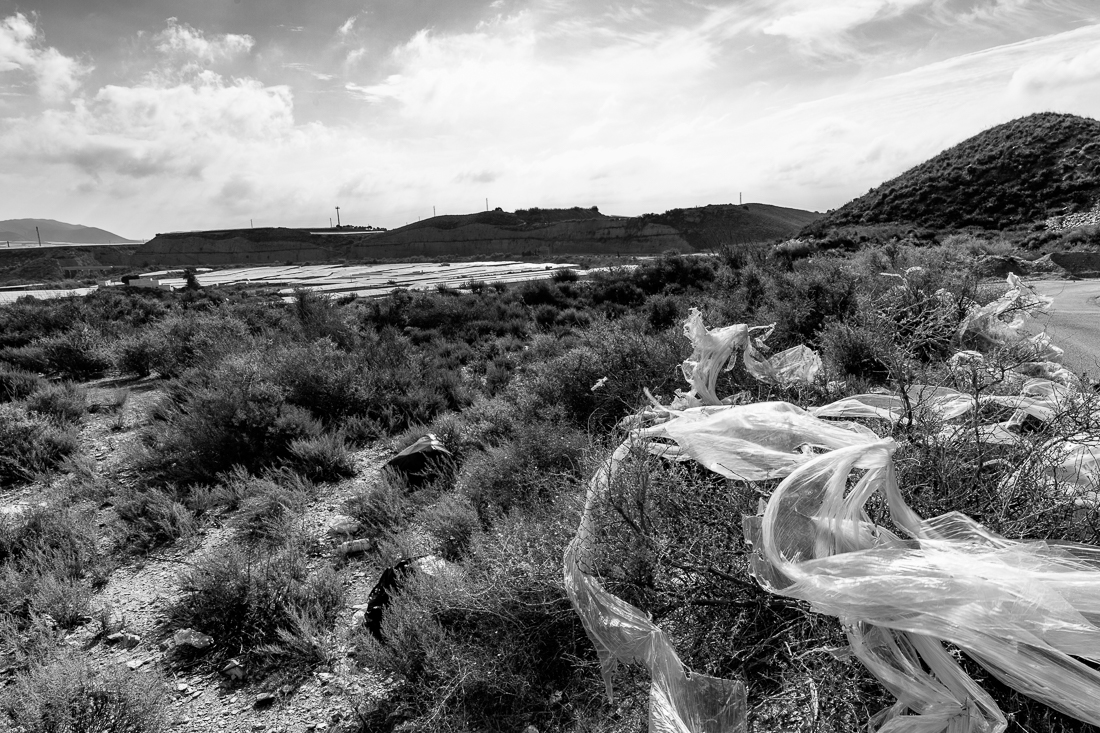 The greed for water - Agriculture in Andalusia