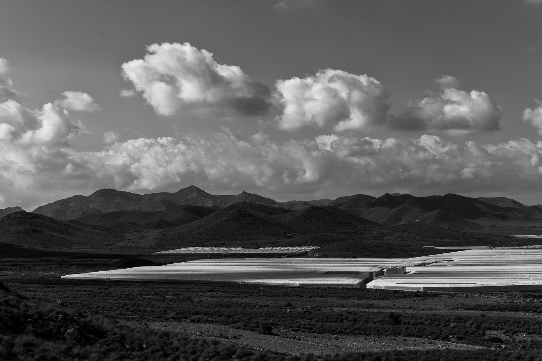 The greed for water - Agriculture in Andalusia