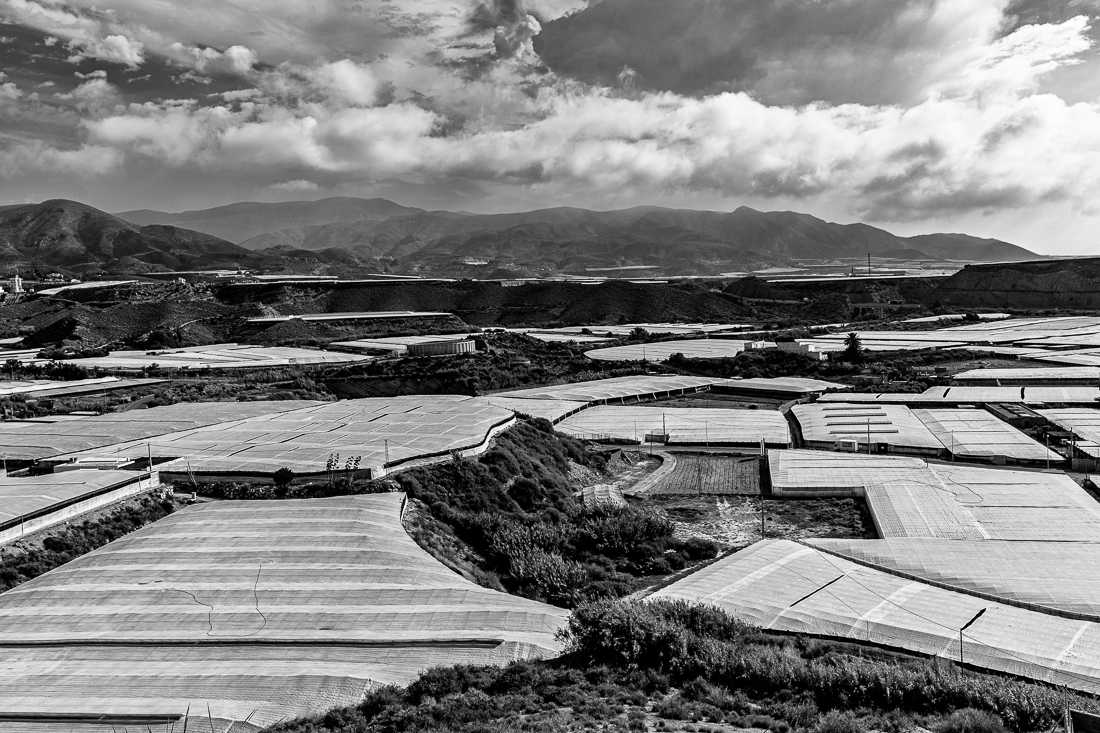 The greed for water - Agriculture in Andalusia