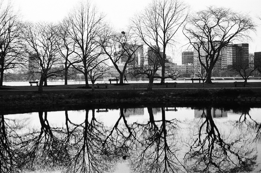 Shadows in the Park