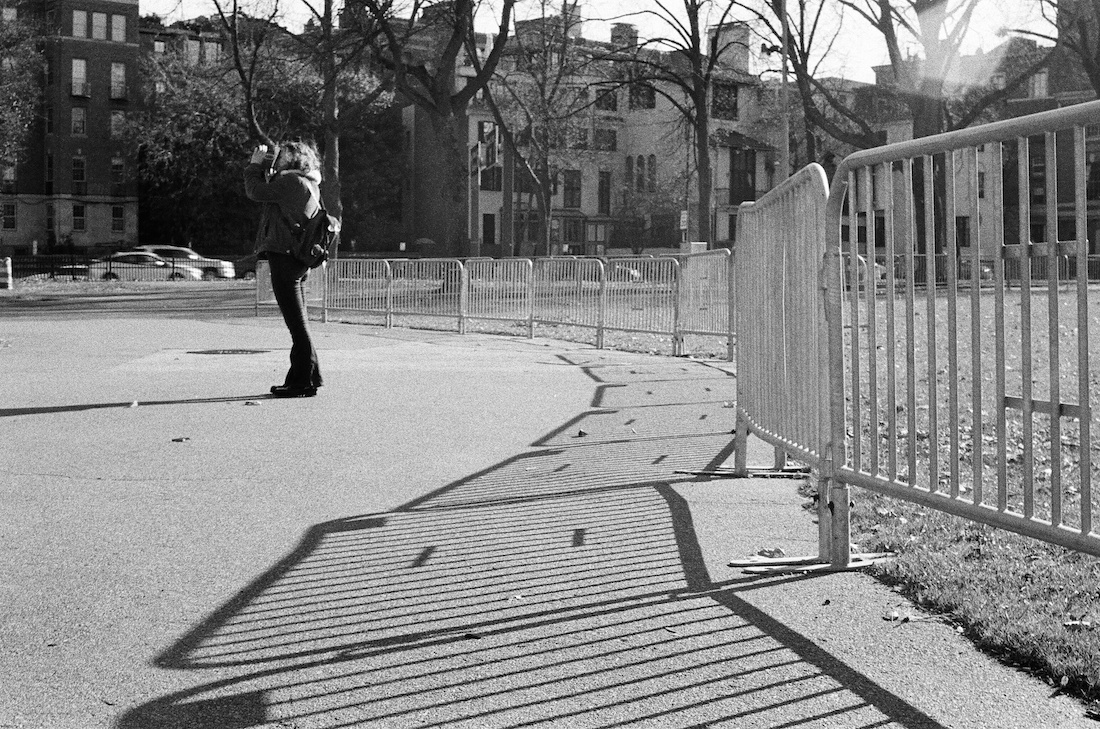 Shadows in the Park