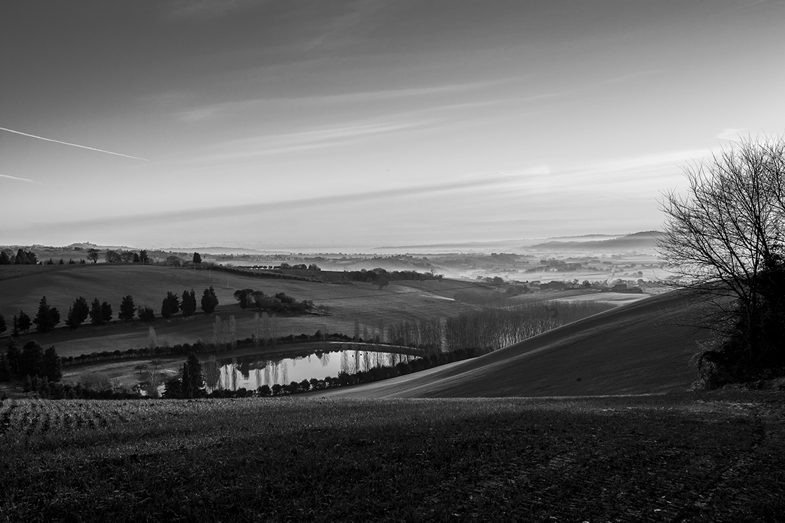 The awakening of the valley
