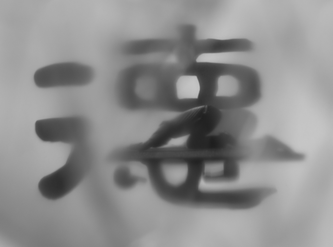 LE SOI