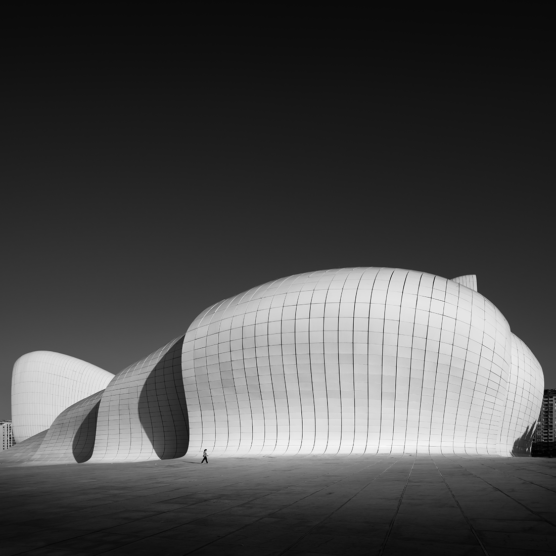 Heydar Aliyev Curves and Inflections
